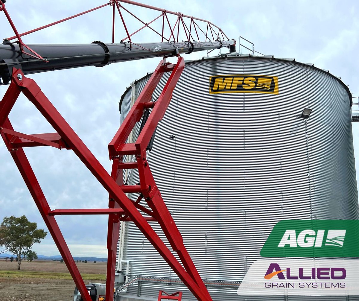 AlliedGrain's tweet photo. On farm near #QuirindiNSW our client is using the X-series 13" 84 foot #Auger to load their sorghum crop into their @AgGrowthIntl #flatbottomsilos.🌾 It's a good looking set-up if we do say so ourselves. 👀 #AlliedGrainSystems #GrainStorageSolutions #GrainHandlingSolutions #AGI https://t.co/3ze90895WD