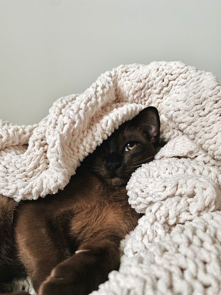 encoeurtoi's tweet photo. those rainy days got us like : https://t.co/fx0hX0kkhJ