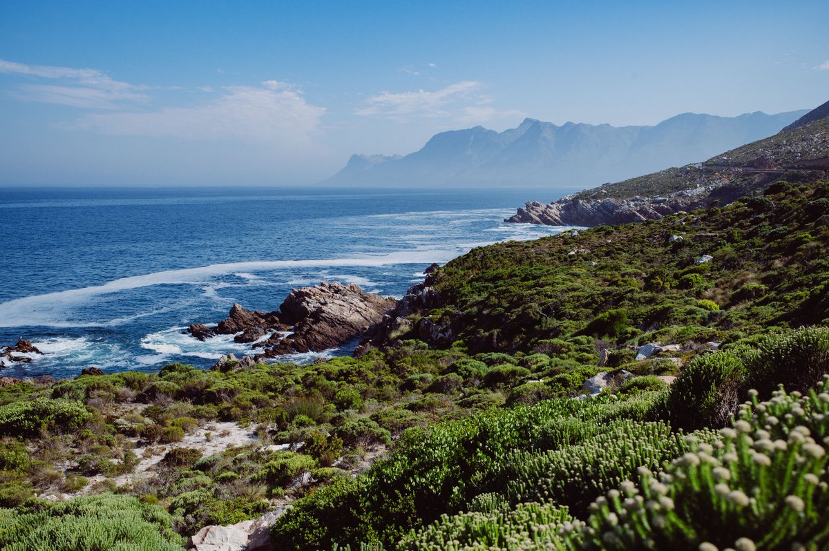 30x30NOW tweet media