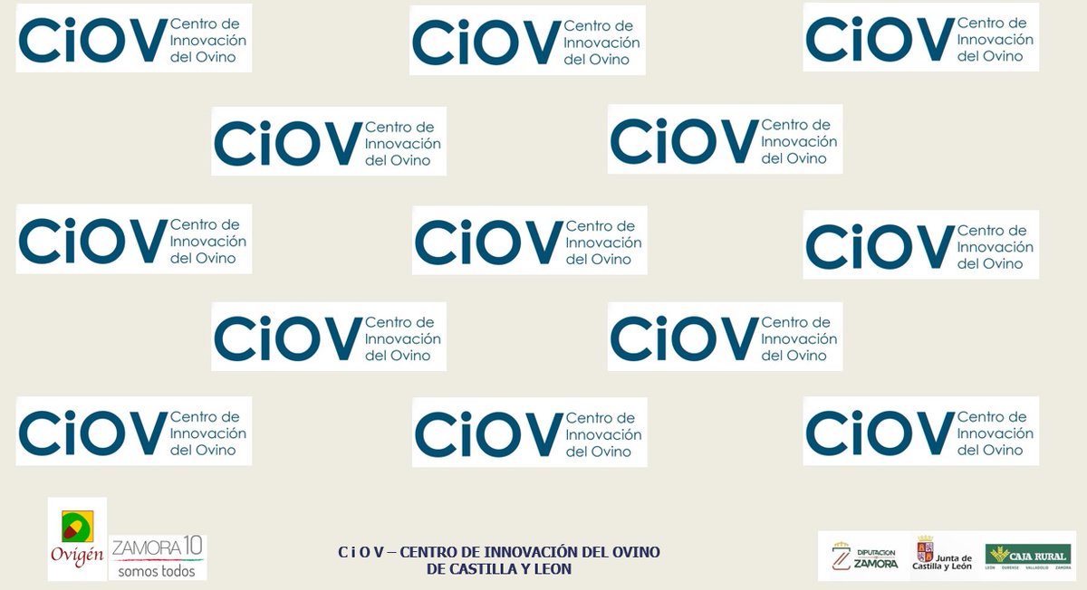 ASSAF.ESPAÑA tweet media