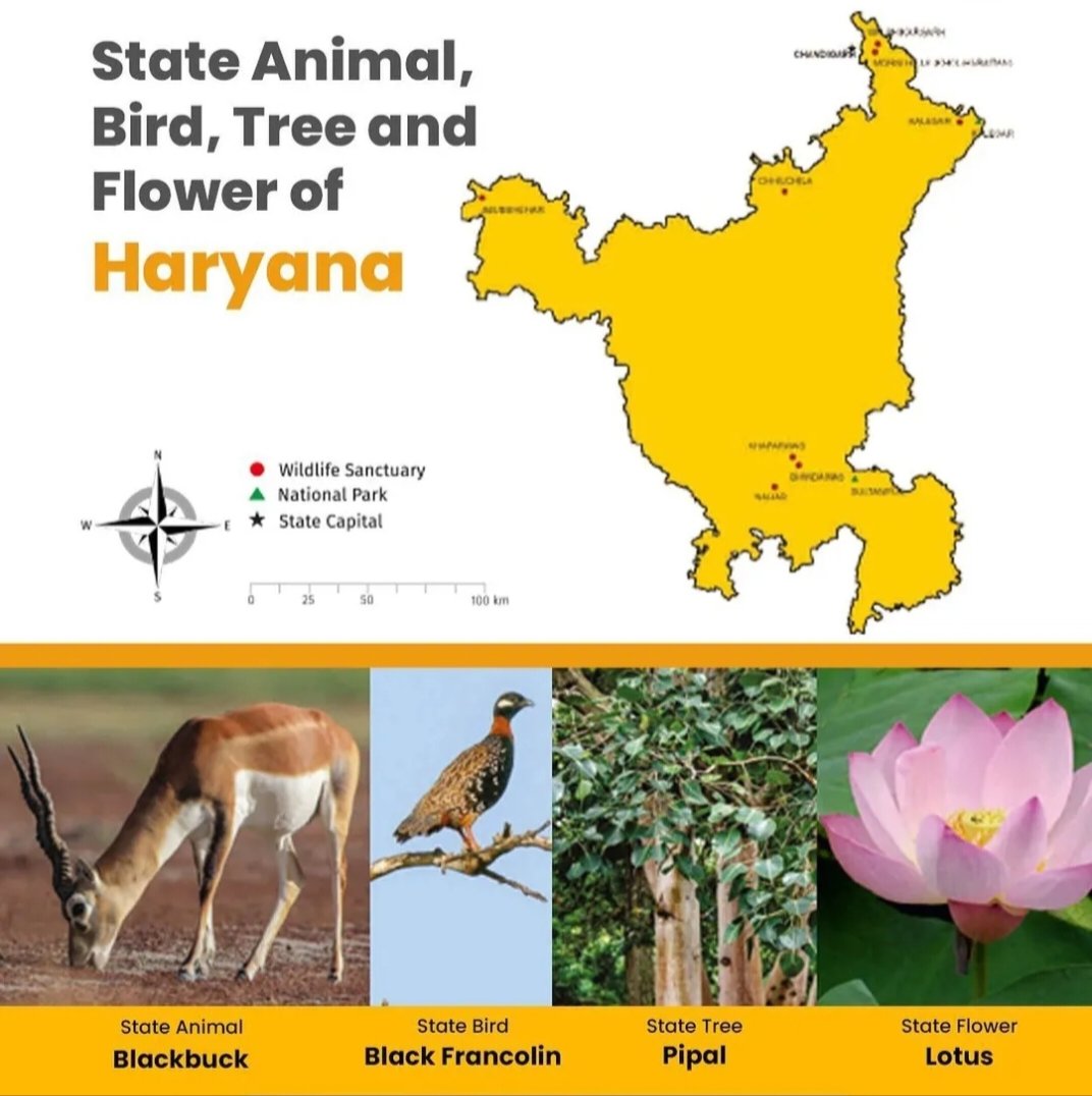 Haryana Forest Department (@ForestHaryana) / Twitter Haryana Forest Department (@ForestHaryana) / Twitter