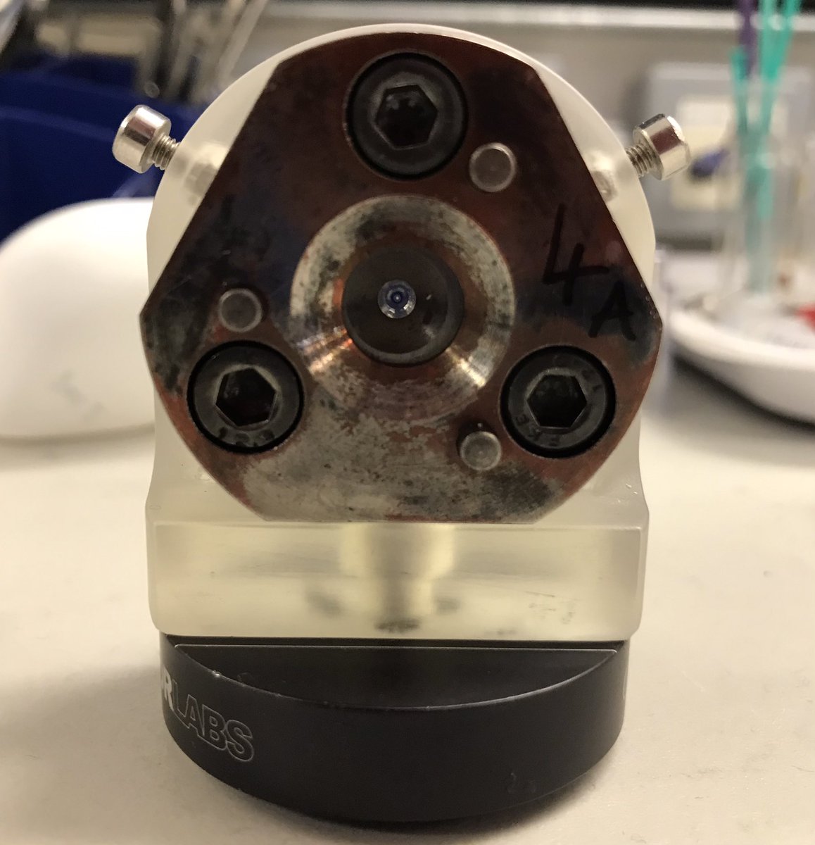 Elizabeth Shotton tweet media