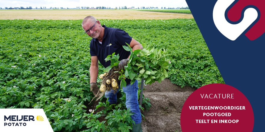 doornboswerving's tweet photo. Je kunt nog reageren op deze mooie en uitdagende functie bij Meijer Potato in Emmeloord. Grijp jij deze kans?  https://t.co/o9dN9gzWUo
#vacature #Emmeloord #aardappelen #agri https://t.co/0arKOdKRpG