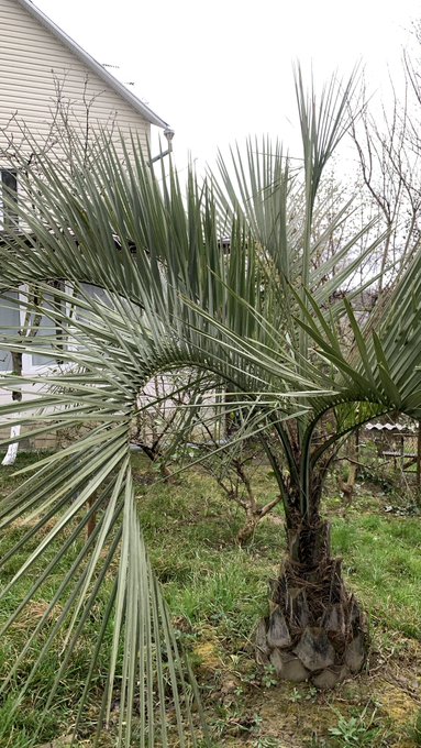 🌿☀️ https://t.co/Xe1hLaI4Vw<a href="/tag/%D0%BD%D0%BE%D0%B2%D1%8B%D0%B9%D0%B0%D0%B2%D0%B0%D1%82%D0%B0%D1%80"class="tags"><span>#новыйаватар</span></a>