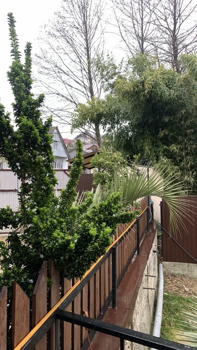 🌿☀️ https://t.co/Xe1hLaI4Vw<a href="/tag/%D0%BD%D0%BE%D0%B2%D1%8B%D0%B9%D0%B0%D0%B2%D0%B0%D1%82%D0%B0%D1%80"class="tags"><span>#новыйаватар</span></a>