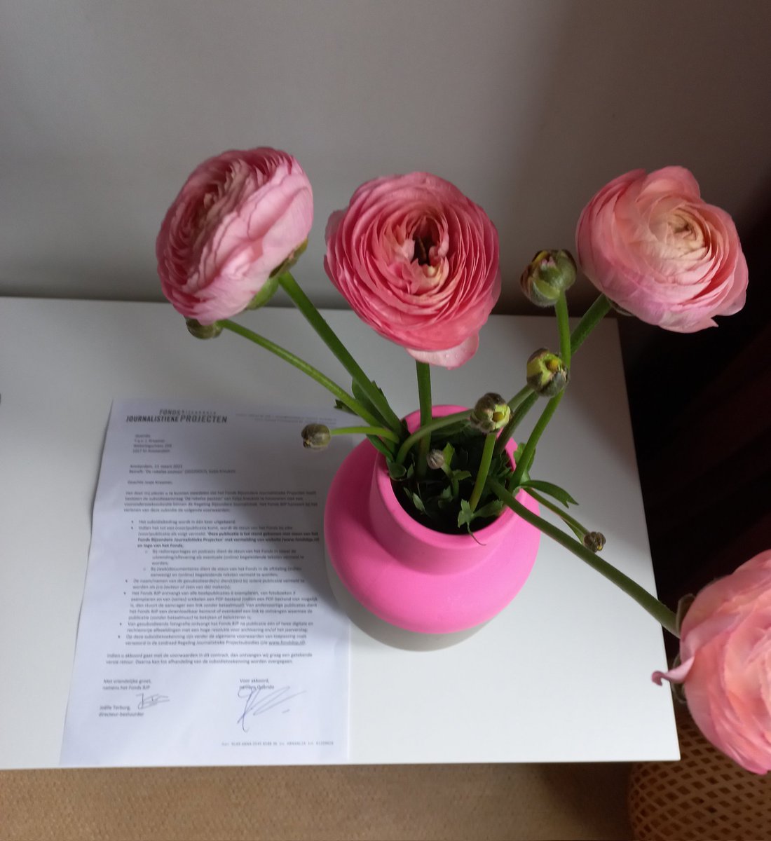 KatjaKreukels's tweet photo. Mooie bloemen van mijn redacteur Josje Kraamer en het ondertekende contract van het Fonds bijzondere journalistieke projecten. Ik krijg subsidie om vooronderzoek te gaan doen naar de rebelse pastoor Ed Miedema en mijnwerkersparochie het Eikske. Een nieuw avontuur kan beginnen! https://t.co/UD6AT3oan5