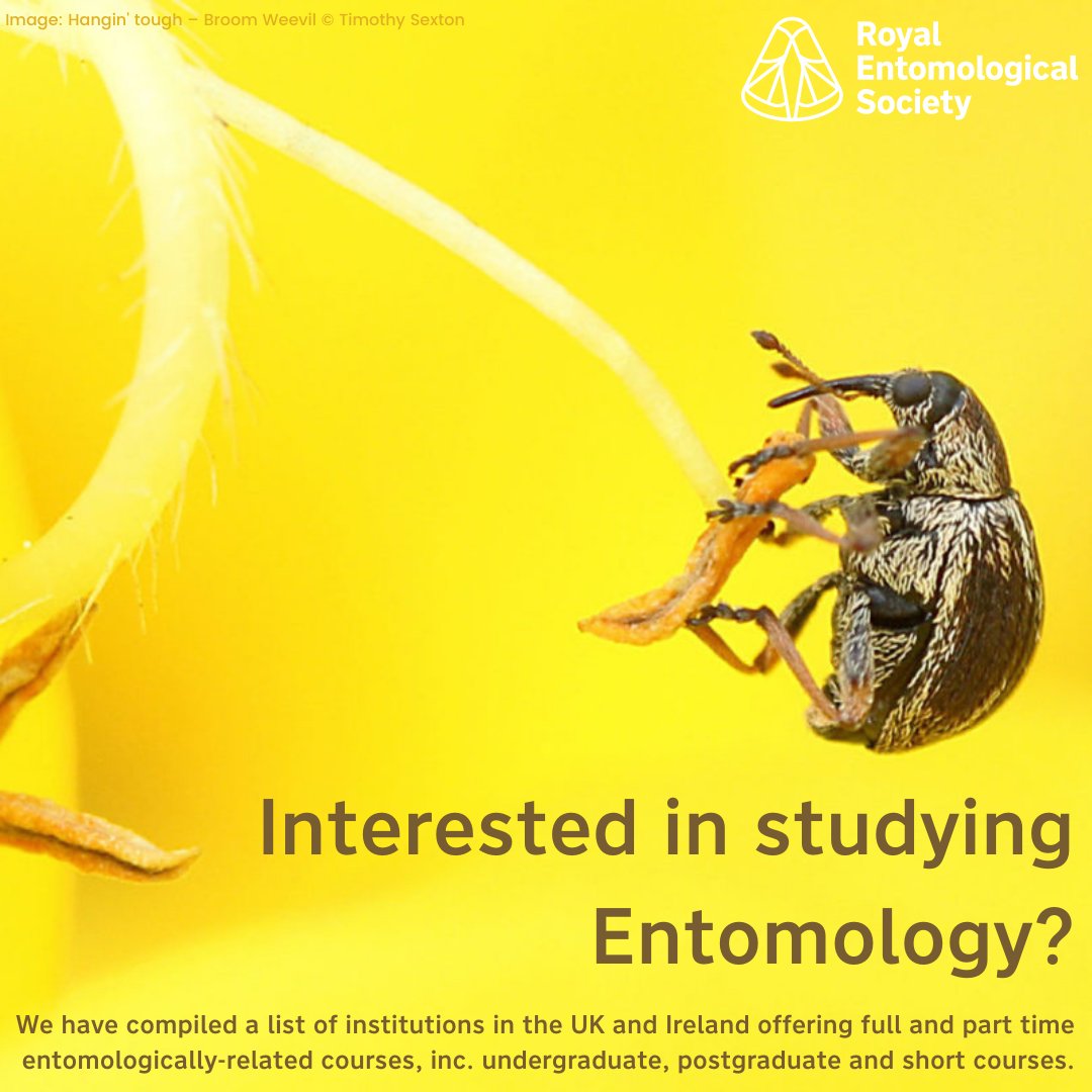 Check our list of #Institutions in UK &amp; Ireland, offering full &amp; #PartTime #Courses, inc #Undergraduate, #Postgraduate &amp; #ShortCourses.

ow.ly/8bYh50IAThj

#RESFuture  #Science #Education #Research #Study #Learning #PhD #University #Animals #EnrichTheWorldWithInsectScience