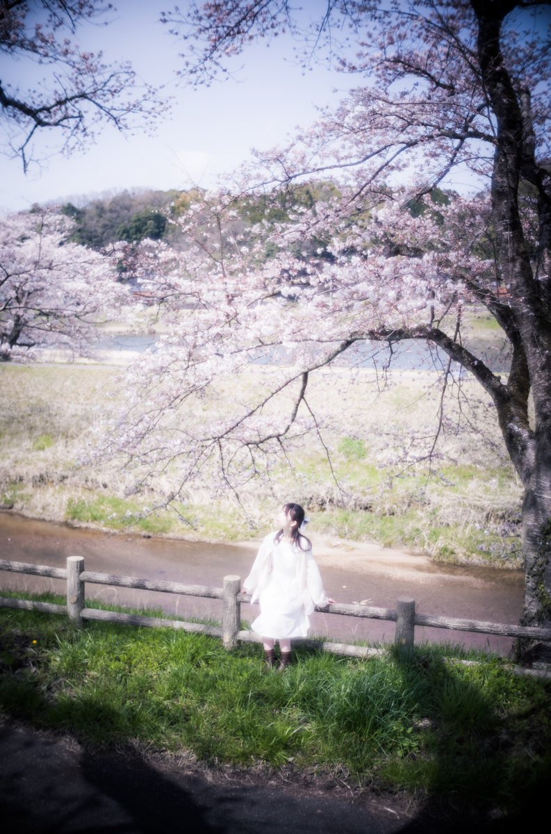 Portrait 

model:美里さん

#portrait #ポートレート #被写体募集 #ファインダー越しの私の世界 #写真好きな人と繋がりたい #桜 #GFX #planar50mm #Summarit5cm