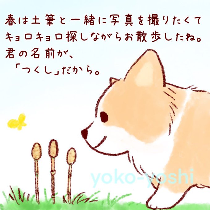 キョロキョロのtwitterイラスト検索結果
