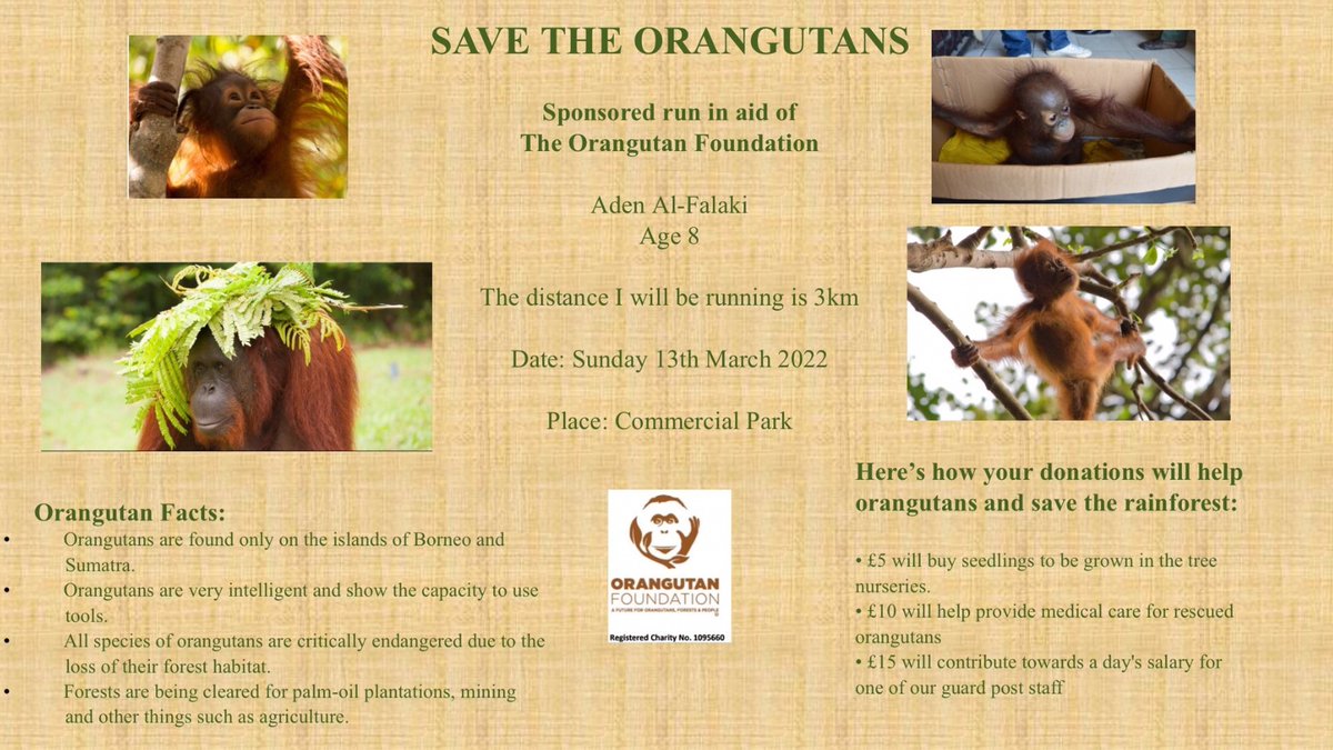 StainesPrepYr3's tweet photo. As part of the rainforest topic, #StainesPrepYear3 created their own sponsored walk and have been fundraising for the @OrangutanFndn. Together the pupils raised a whopping £1214.22! Fantastic work!
#StainesPrepCommunity #StainesPrepRespect #StainesPrepShare https://t.co/CYWeOhiH9R