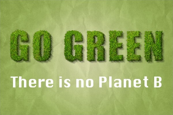 GBayPackaging's tweet photo. Check out our sustainable packaging products on our website. 
https://t.co/1MsjHQGKC8
#GoGreen #Sustainability #greenbaypkging https://t.co/oHgTUHjOJZ