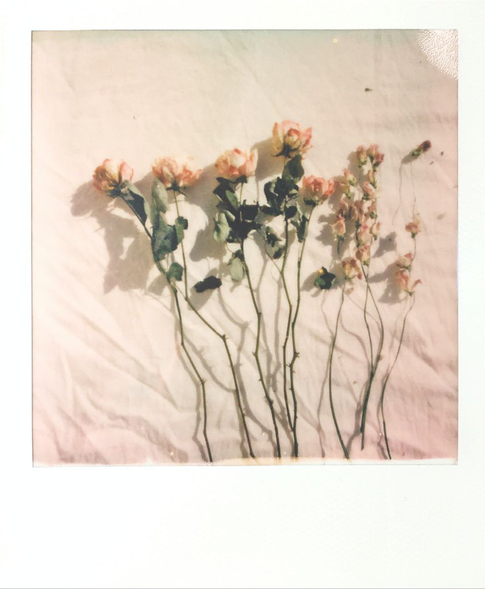 Kalbin Allah’tan başkasına meyletmesi, Allah’ın azabını çabuklaştırır.