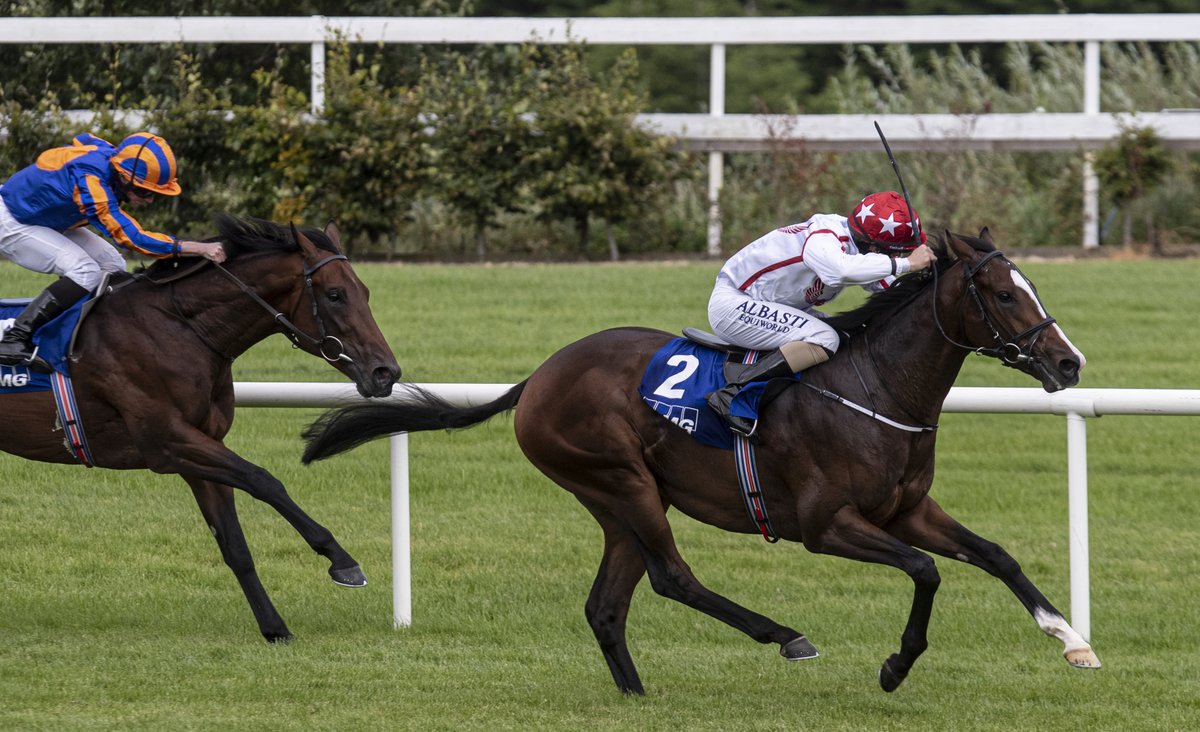 HRIRacing's tweet photo. #TodaysTips - https://t.co/rn3bVyV30G
🏇@LeopardstownRC
⏰First Race 2.30pm
A strong mid-week card at #Leopardstown this afternoon.
Our preview is here ↙️
https://t.co/rn3bVyV30G #Cadillac https://t.co/jONTBGKFce