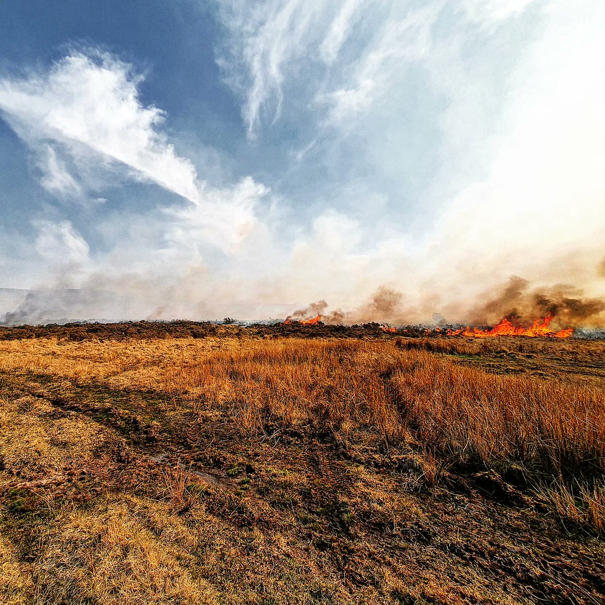 Llandeilo Fire Station tweet media