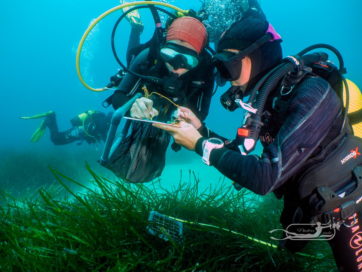IMEDEA_UIB_CSIC's tweet photo. #IMEDEANotaDePrensa:
'Observadores del Mar (@obsdelmar) se consolida como la plataforma de referencia de ciencia ciudadana marina en España'
@ICMCSIC @ceabcsic @IMEDEA_UIB_CSIC @socib_icts @IEOoceanografia
🔗https://t.co/mgoETGntpV
#CienciaCiudadana https://t.co/LY6dRCxa75