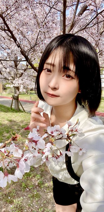 コスプレイヤーやよっぺ。のTwitter画像41