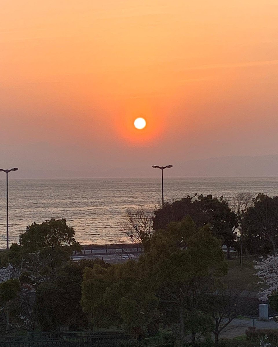 hamakogetsu_'s tweet photo. 勇ましい鎧兜にリニューアル！
浜湖月のお庭にもあちこちに春が
やってきました🌸

おまけに今日は夕陽が綺麗😊

#浜湖月　#夕陽　#春　#桜
#長浜　#滋賀　#長浜観光大使　
#露天風呂の有る宿 https://t.co/cx9t8qnGh9