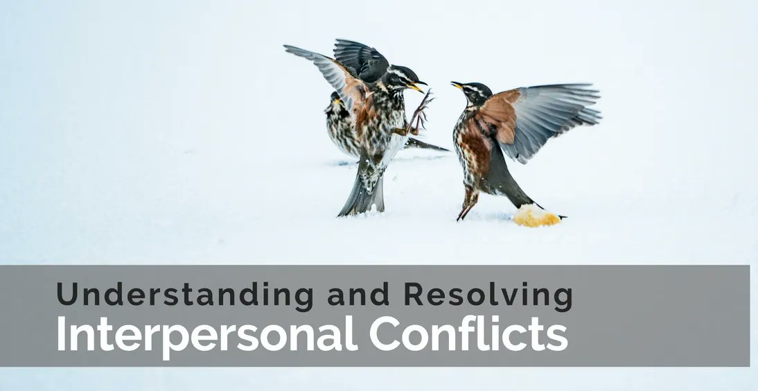 „People expect interpersonal contact to be without conflicts … If conflicts appear, they are unwanted, they are a burden for interpersonal relationships and personal feelings.“ Alexander Thomas | michaelkimmig.eu/understanding-… #conflict #conflictresolution #interpersonalconflicts