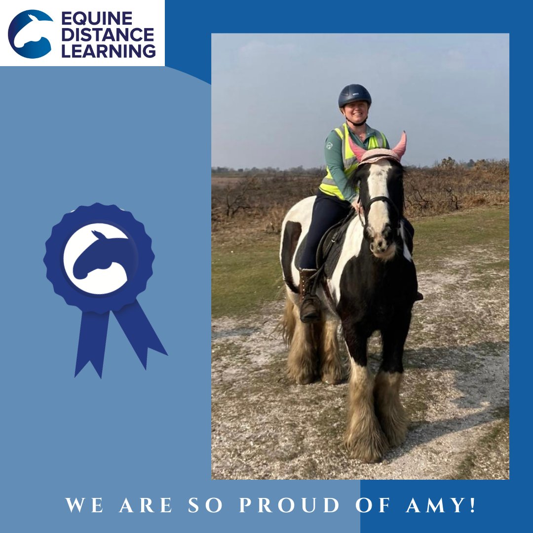 equinedl's tweet photo. Well Done Amy!  Part one &amp; Two of the @BritishHorse Challenge Awards passed!  Amy is new to horse riding and now feels much more confident!
https://t.co/90YI67Sgji #horses #horsecare #horseknowledge #horseriding #equestrian https://t.co/ISUSP3rVG4