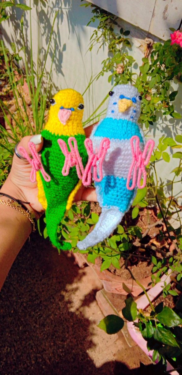 Crochet birdiess 🥺💝 for <a href="/NikoTheBudgie/">Niko (🌈) Kiwi & Sunny</a>  
Dm us if anyone wants customised crochet products 🤗
#crochet #DIY #design #fashion #India #handmade