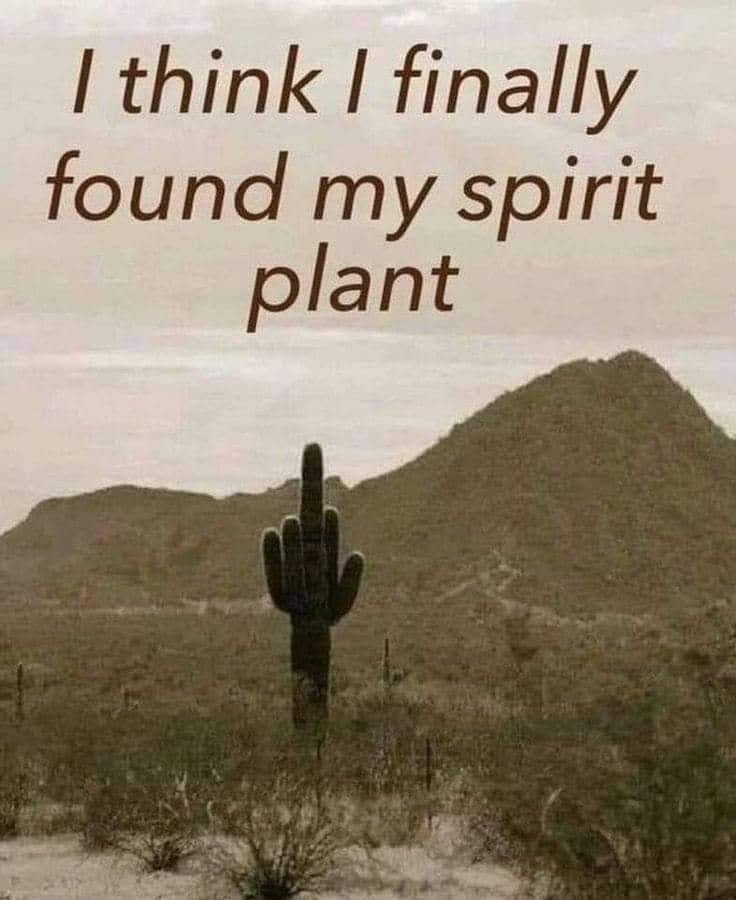 I feel the connection 😅