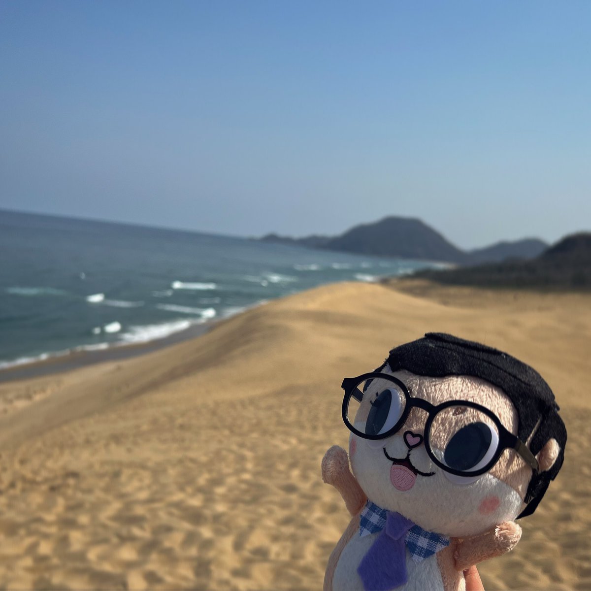 chiijohntravels's tweet photo. Look friends! Today I was visiting the Sand Dunes in Tottori! It was so beautiful. But not as beautiful as Susaki! I’ll be there on Friday! So close! Have you ever heard of Tottori? #LastWeekTonight #Chiijohn https://t.co/pMK5nereul