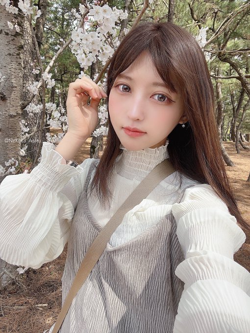コスプレイヤー猫田あしゅのTwitter画像35
