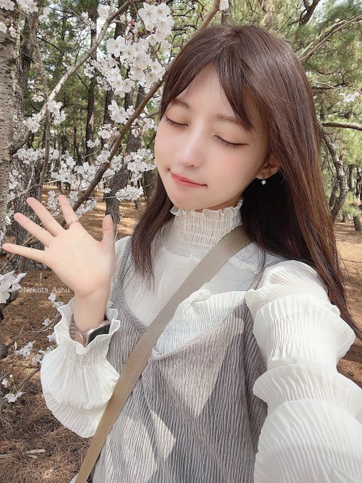 コスプレイヤー猫田あしゅのTwitter画像36