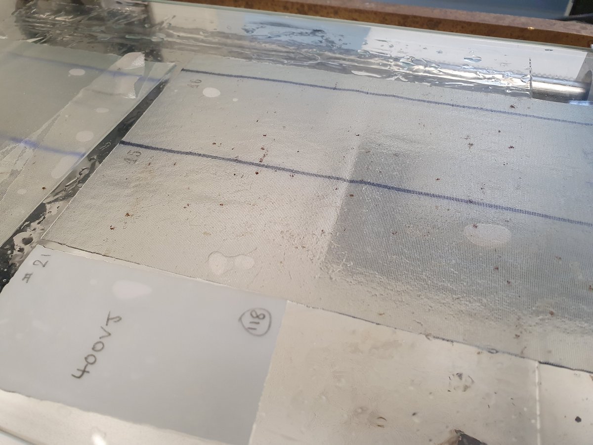 CPRSurvey's tweet image. Today our Analysts are working on the 400th North Pacific plankton tow! 
Since 1997, CPRs have been towed across 2 routes in the N. Pacific, collecting phyto &amp;amp; zooplankton across thousands of nautical miles, building a bigger picture on ocean health 
#LongTermMonitoring #Taxonomy