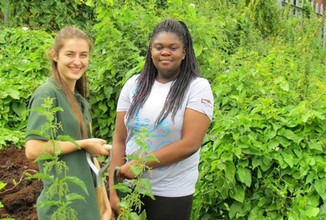 SMGrowingSpaces's tweet photo. It's #communitygardenweek! Community gardens bring huge benefits to people, wildlife and planet. @SustainableMert we look after two fabulous community green spaces, Mitcham Orchard and Phipps Bridge Allotment. To get involved, get in touch! https://t.co/7NSipTF8RM #GrowingSpaces https://t.co/FgXTOg6NSm