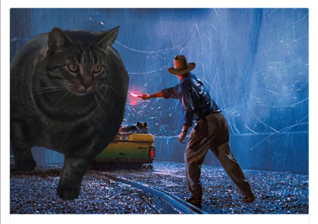 SlavCatNFT's tweet photo. Continuing after those buff cat figurines, apparently there's this really buff cat that actually exists and people made some great memes about it. Jurassic park but it's buff cat. #catstakingover #theslavcatnft #cnft https://t.co/TM2TfK8FbH