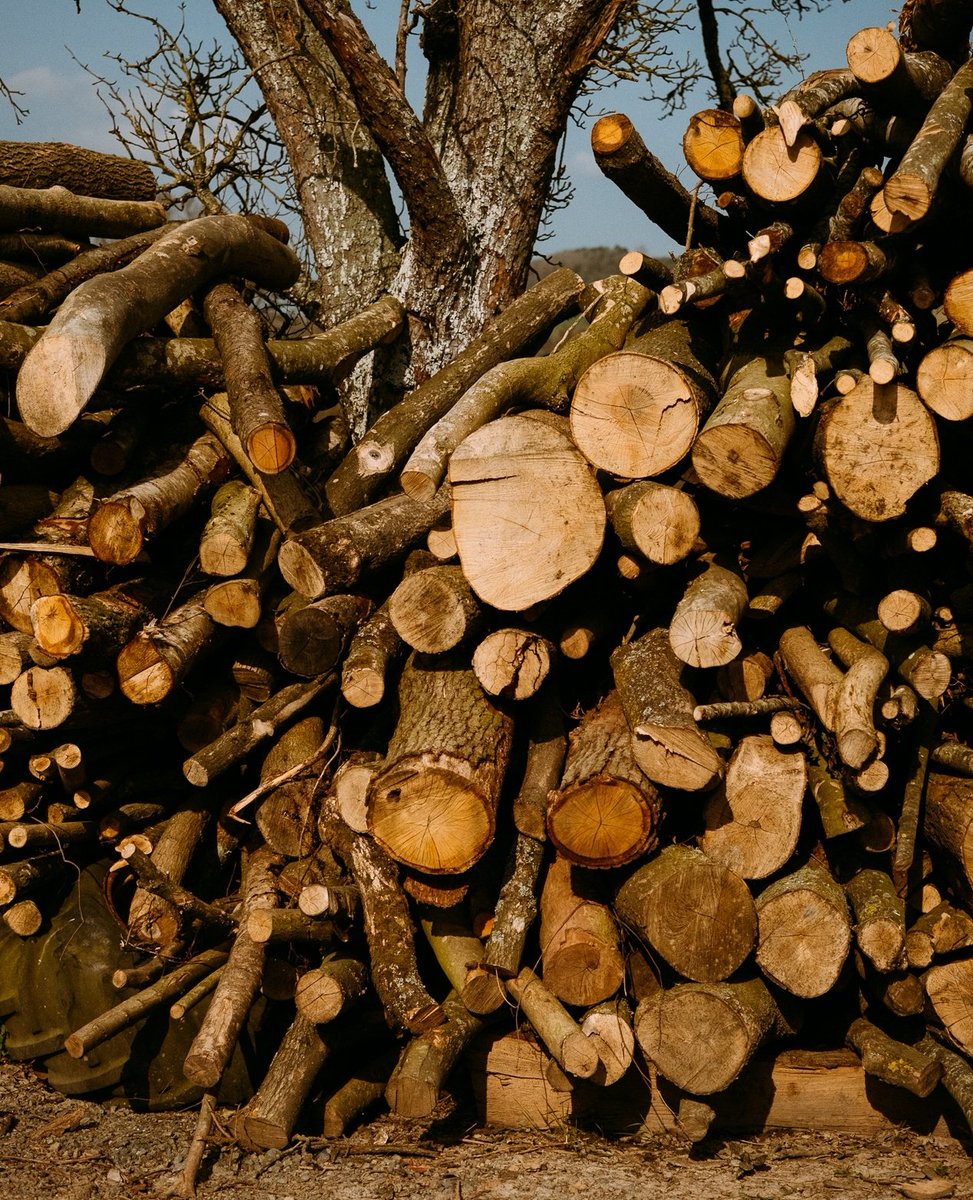 aruleoftum's tweet image. 🔥 Towards the end of March 2022 we headed over to Birchwood Forestry in Herefordshire to take a look at their setup and see how they go from forest to charcoal.

Read more about this amazing process over on the blog!

aruleoftum.com

@birchwoodforestryhereford