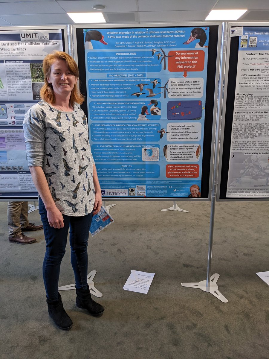If you're at #CWW2022 this week, make sure to visit <a href="/r_green24/">Ros Green</a>'s poster on #waterfowl interactions with offshore wind farms

If you have seen ducks, geese and swans passing through developments or during migration at sea please get in touch! 🦆 <a href="/_BTO/">BTO</a>