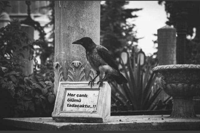 ______s_____d__'s tweet photo. Eski bir acem şâir'i der ki;

"Ölüm âdildir!.. aynı haşmetle vurur şâhı da, fakiri de..." https://t.co/V7mb7ANODR