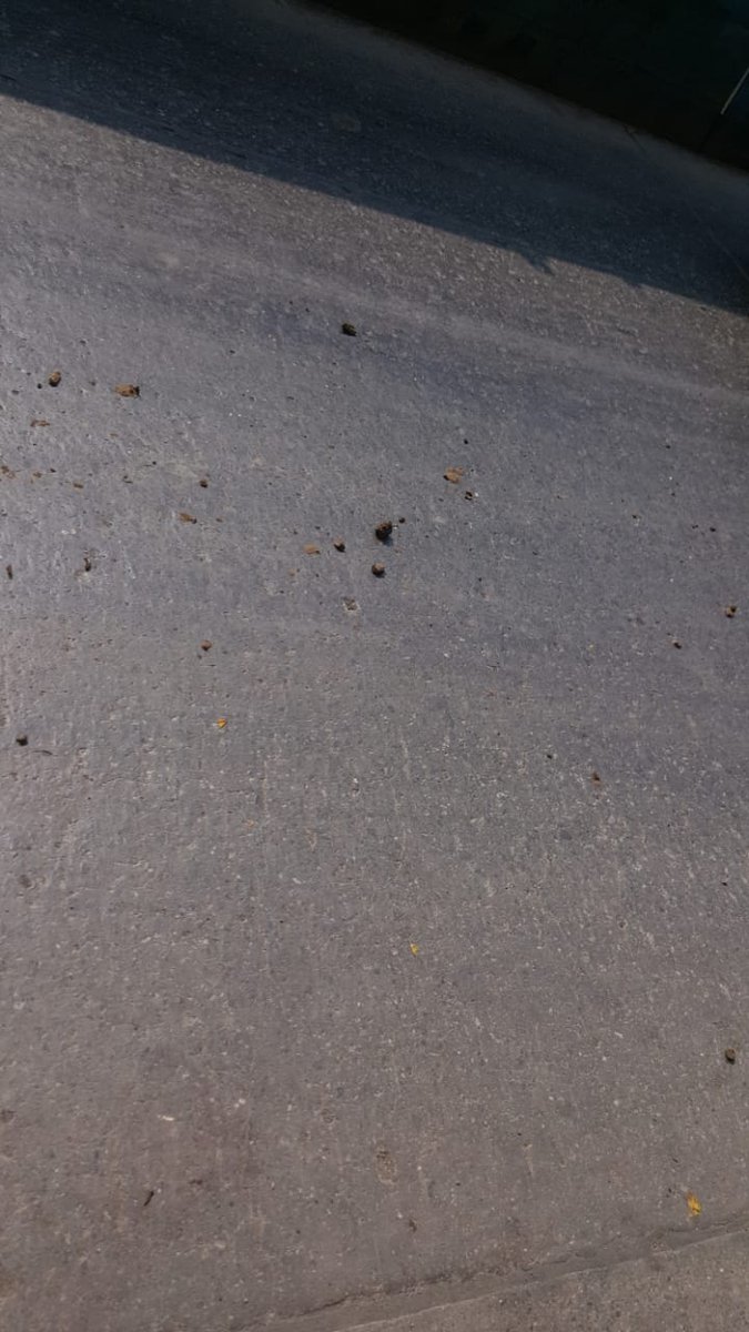 hrtofnation's tweet photo. @MumbaiPolice @sanjayp_1 @CPMumbaiPolice @mybmc

Location : JKumar Construction Near Sewri Court Road, Mumbai. 

Wet slippery mud lying on the road, this can cause any road accident. Pls act https://t.co/o8dYzcAzHs