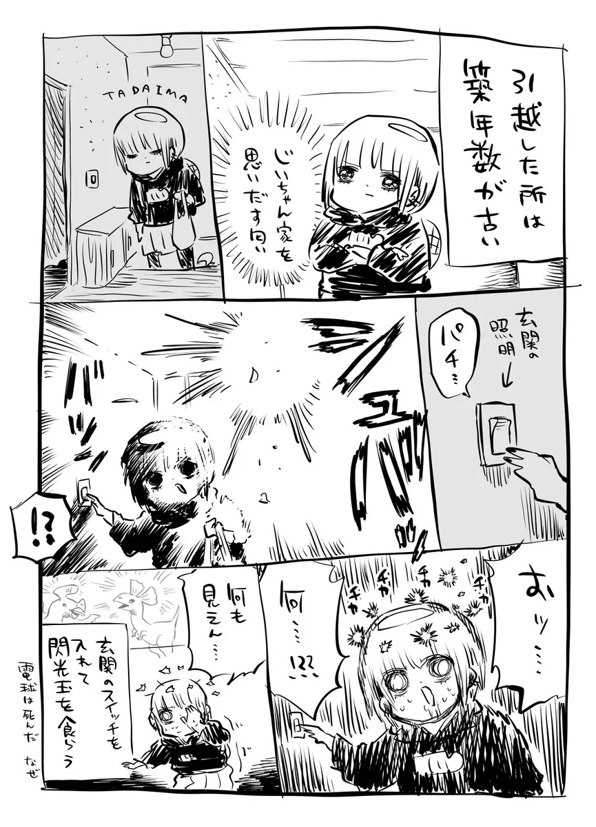 引っ越したばかりなのに…玄関の照明から閃光玉を食らったw