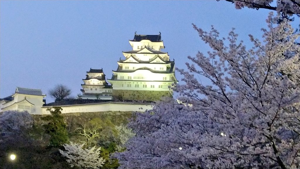 姫路城桜 Twitter Search Twitter