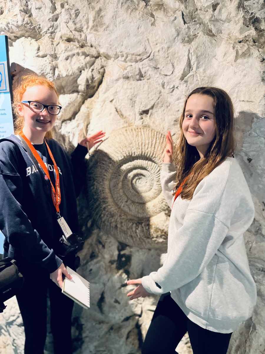 CarisbrookeColl's tweet photo. Discovering the ammonite sea. We’re so lucky to have such diverse palaeontology.

@IndependentArts @UNESCOUK 

#alwaysabeachday #dinos #biosphere #unescouk #studentakeover
#IWCreativeBiosphere #IWCulture #LetsCreateIW https://t.co/Bpp9aQoqEL