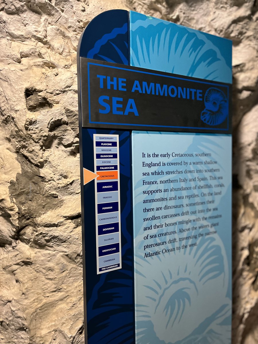 CarisbrookeColl's tweet photo. Discovering the ammonite sea. We’re so lucky to have such diverse palaeontology.

@IndependentArts @UNESCOUK 

#alwaysabeachday #dinos #biosphere #unescouk #studentakeover
#IWCreativeBiosphere #IWCulture #LetsCreateIW https://t.co/Bpp9aQoqEL