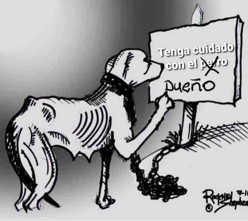 Twitter 上的FRECDA: Twitter 上的FRECDA: