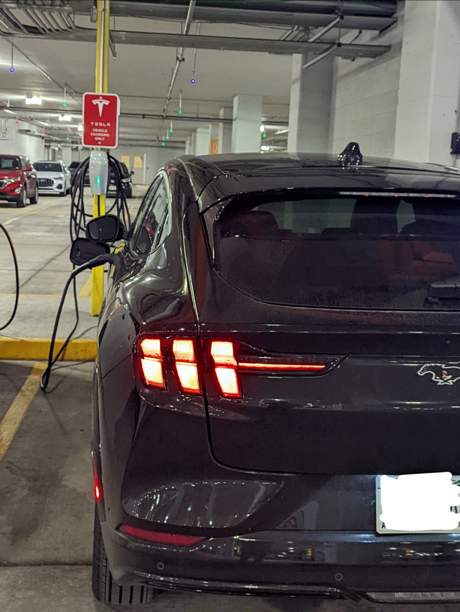 ferry_picked's tweet photo. @FordMustang https://t.co/PjbZTYfS1Q