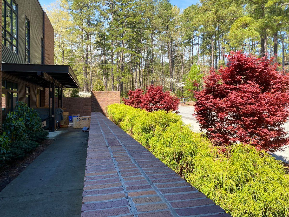 MrUlkuSteiner's tweet photo. Respect and thanks to our grounds team, which makes beautiful places happen all over our campuses. https://t.co/OsHTWYZcyA