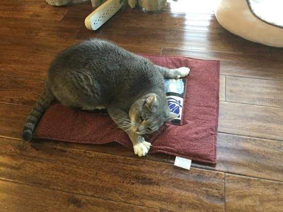 marillion13's tweet photo. You can also order a #CommunityQuilt to help @dailykos community members, if you can´t order anything, like me, #SharingIsCaring too.
https://t.co/bCojWAEaWi https://t.co/XAfQOAIKK3