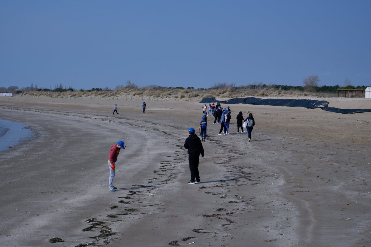 arpaveneto's tweet photo. E' tutto a posto sulla spiaggia di Cà Savio, dove nidifica il Fratino? Stamattina le ragazze e i ragazzi dell'Istituto Manin di Ca’ Savio hanno ispezionato le dune, habitat del piccolo trampoliere. #Settimana di pulizia del progetto #Marless
Le tappe 👉https://t.co/7Shafw1b6x https://t.co/cdH9wLMDMa