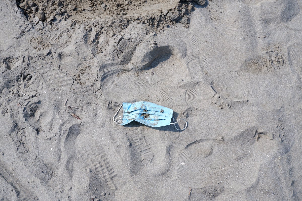 arpaveneto's tweet photo. E' tutto a posto sulla spiaggia di Cà Savio, dove nidifica il Fratino? Stamattina le ragazze e i ragazzi dell'Istituto Manin di Ca’ Savio hanno ispezionato le dune, habitat del piccolo trampoliere. #Settimana di pulizia del progetto #Marless
Le tappe 👉https://t.co/7Shafw1b6x https://t.co/cdH9wLMDMa
