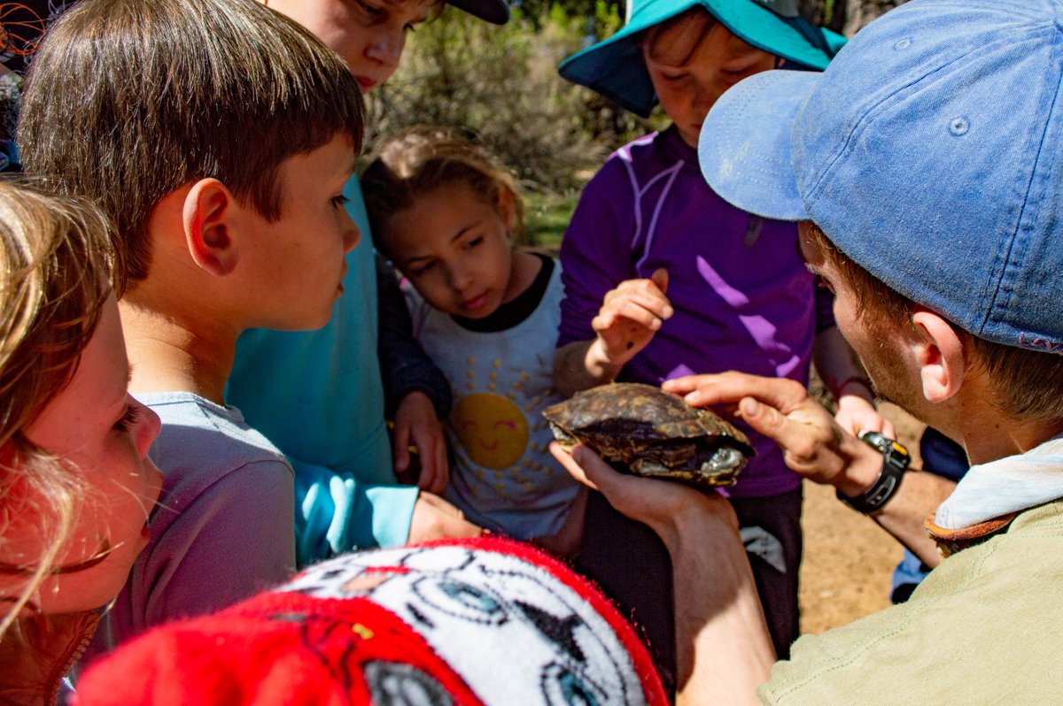TerraMandarin's tweet image. A quintessential summer experience. Hike.Run.Roam. Learn a language. Have a blast. Grab your spot! terramarin.org/camps #learngrowbelong #naturecamp  #classicsummerfun #mandarincamp #spanishcamp #adventurecamp #summercamp #marin