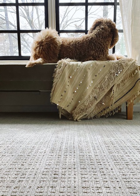 Patiently waiting for those April showers to bring the May flowers.🌷