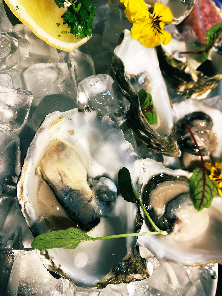 NorthernSoleFK's tweet photo. Heading to the @paulwellerHQ concert at @bonusarenahull tonight? Then join us beforehand in @HoHFoodHall for the Weller fan club. We’ll be serving up great #solefood with a mod father playlist curated by our owner! #northernsole #fishkitchen #hull #loveseafood https://t.co/UuroeYqqyV