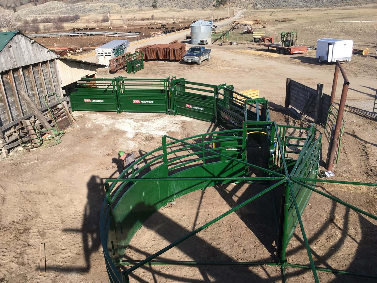Arrowquip's tweet photo. For optimal cattle flow and maximum efficiency, connect with us today to design your custom cattle handling system.➡️ https://t.co/9kfdlCupVq📷Ian Pearson | Pearson Farm & Fence #cattlehandling #cattleequipment #ranching #cattlesystems #cattleworkingsystem #cattlehandlingsystem https://t.co/GzOg94PWeI