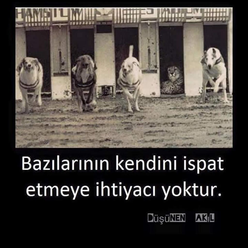 #hektas
#aksen
#alark✌️